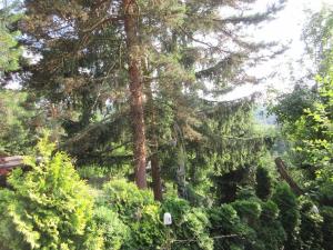 Prodej chaty, Ochoz u Brna, 29 m2