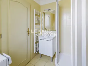 Pronájem bytu 1+1, Praha - Vinohrady, Máchova, 40 m2