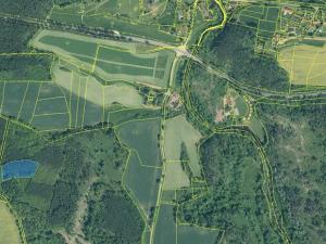 Prodej lesa, Ostrovec, 5341 m2