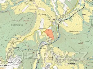 Prodej louky, Těchonín, 113108 m2