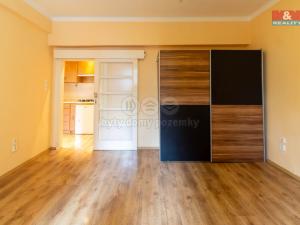 Pronájem bytu 2+kk, Praha - Žižkov, Biskupcova, 46 m2