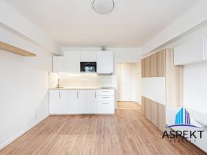 Pronájem bytu 1+kk, Praha - Vokovice, Evropská, 24 m2