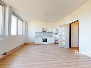 Pronájem bytu 1+kk, Mlékojedy, 35 m2