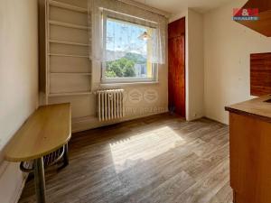 Pronájem bytu 1+1, Ústí nad Orlicí, Jilemnického, 35 m2