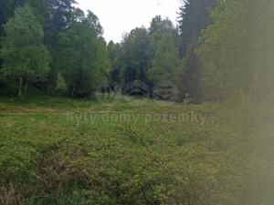 Prodej lesa, Dlouhý Most, 4526 m2