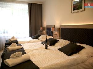 Prodej ubytování, Český Krumlov - Plešivec, 5. května, 750 m2