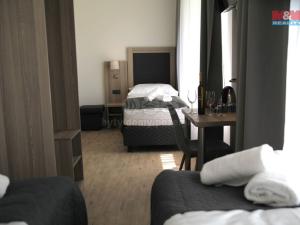 Prodej ubytování, Český Krumlov - Plešivec, 5. května, 750 m2