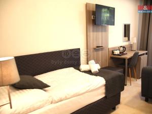 Prodej ubytování, Český Krumlov - Plešivec, 5. května, 750 m2