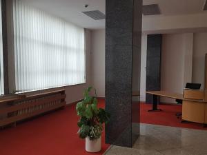 Pronájem kanceláře, Znojmo, náměstí Svobody, 280 m2