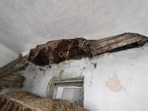 Dražba rodinného domu, Blížejov, 239 m2