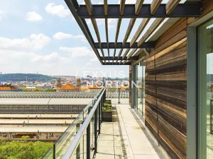 Pronájem bytu 4+kk, Praha - Vinohrady, Italská, 144 m2