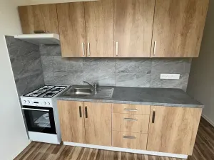 Pronájem bytu 1+1, Nový Jičín, Luční, 41 m2