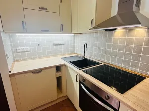 Pronájem bytu 1+kk, Lovosice, Terezínská, 51 m2