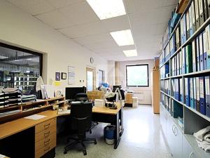 Prodej obchodního prostoru, Dýšina, Přátelství, 800 m2