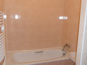 Pronájem bytu 3+1, Plzeň, Poděbradova, 75 m2