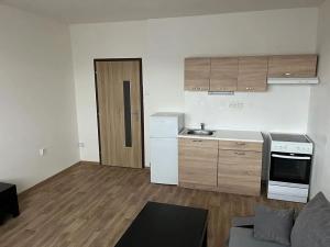 Pronájem bytu 2+kk, Liberec, Halasova, 45 m2