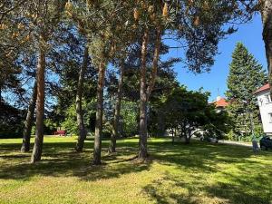 Prodej bytu 1+kk, Žďár nad Sázavou - Žďár nad Sázavou 1, Lučiny, 34 m2
