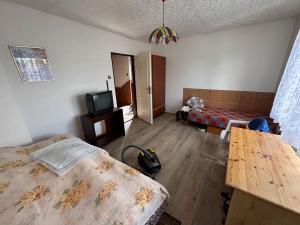 Prodej rodinného domu, Mikulovice, Hlucholazská, 250 m2