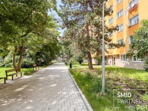 Pronájem bytu 1+kk, Kolín - Kolín II, Na Magistrále, 30 m2