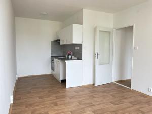 Pronájem bytu 2+kk, Litvínov, Valdštejnská, 40 m2