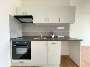 Pronájem bytu 2+kk, Litvínov, Valdštejnská, 40 m2