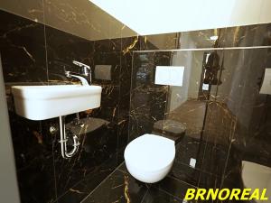 Pronájem obchodního prostoru, Brno, Hybešova, 20 m2