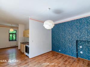 Pronájem bytu 2+kk, Tábor, Zbyňkova, 53 m2