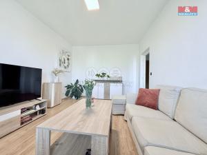 Pronájem bytu 2+1, Ostrava - Hrabůvka, U Lesa, 52 m2