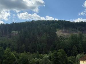 Prodej bytu 2+1, Žlutice, Nádražní, 55 m2