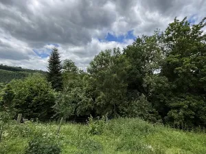 Pronájem rodinného domu, Soběšín, 175 m2