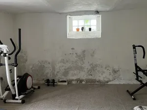 Pronájem rodinného domu, Soběšín, 175 m2