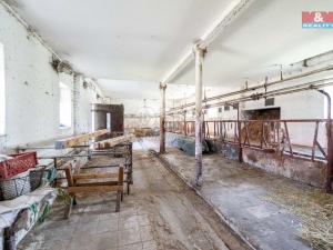 Prodej zemědělské usedlosti, Nížkov, 100 m2