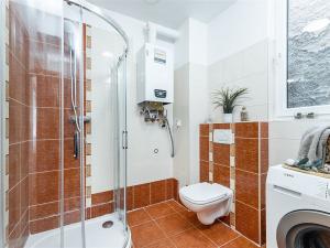 Pronájem bytu 1+1, Prostějov, Krátká, 49 m2