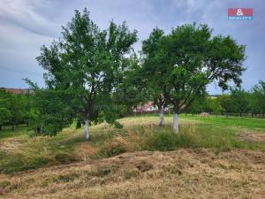 Prodej zahrady, Vlčnov, 600 m2