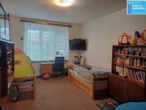 Prodej bytu 2+1, Vyškov - Vyškov-Předměstí, Smetanovo nábřeží, 60 m2