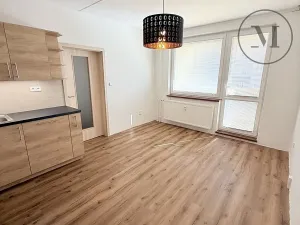 Pronájem bytu 2+kk, Týn nad Vltavou, Veselská, 41 m2