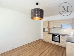 Pronájem bytu 2+kk, Týn nad Vltavou, Veselská, 41 m2