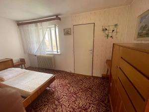 Prodej rodinného domu, Nová Ves u Nového Města na Moravě, 319 m2
