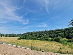Prodej pozemku pro bydlení, Vyšehořovice, 919 m2