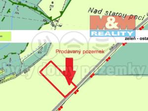 Prodej louky, Nové Mitrovice, 5551 m2