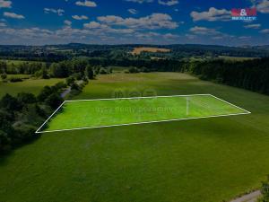 Prodej louky, Nové Mitrovice, 5551 m2