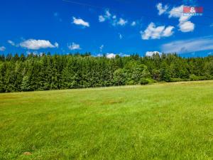 Prodej louky, Nové Mitrovice, 5551 m2