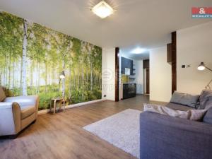 Pronájem bytu 1+kk, Prostějov, Stanislava Manharda, 30 m2