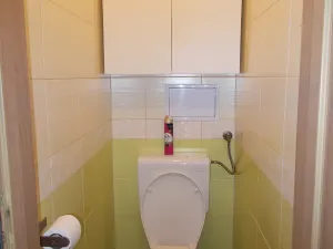 Prodej bytu 3+1, Račice-Pístovice, 68 m2