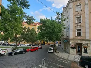 Pronájem bytu 2+1, Praha - Vinohrady, Rybalkova, 72 m2