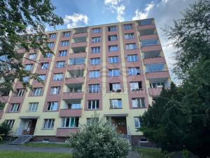 Pronájem bytu 2+1, Cheb, Svobody, 65 m2