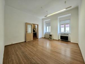 Pronájem bytu 1+kk, Brno, Cejl, 25 m2