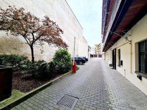 Pronájem bytu 1+kk, Brno, Cejl, 25 m2