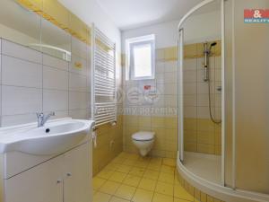 Prodej bytu 1+kk, Ostrov, Hroznětínská, 41 m2