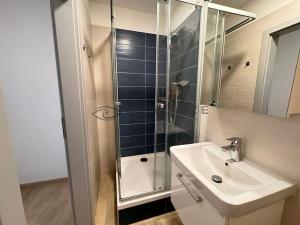 Pronájem bytu 2+kk, České Budějovice, Žižkova tř., 33 m2